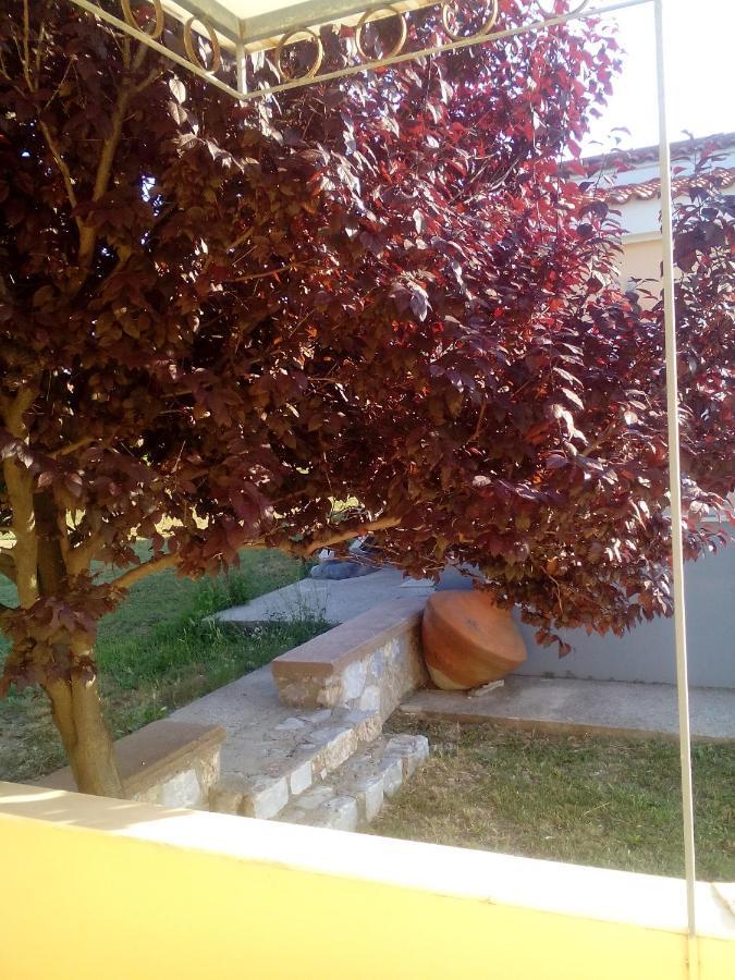 Studios Στουσ Πυργουσ Θερμησ Митилини Экстерьер фото